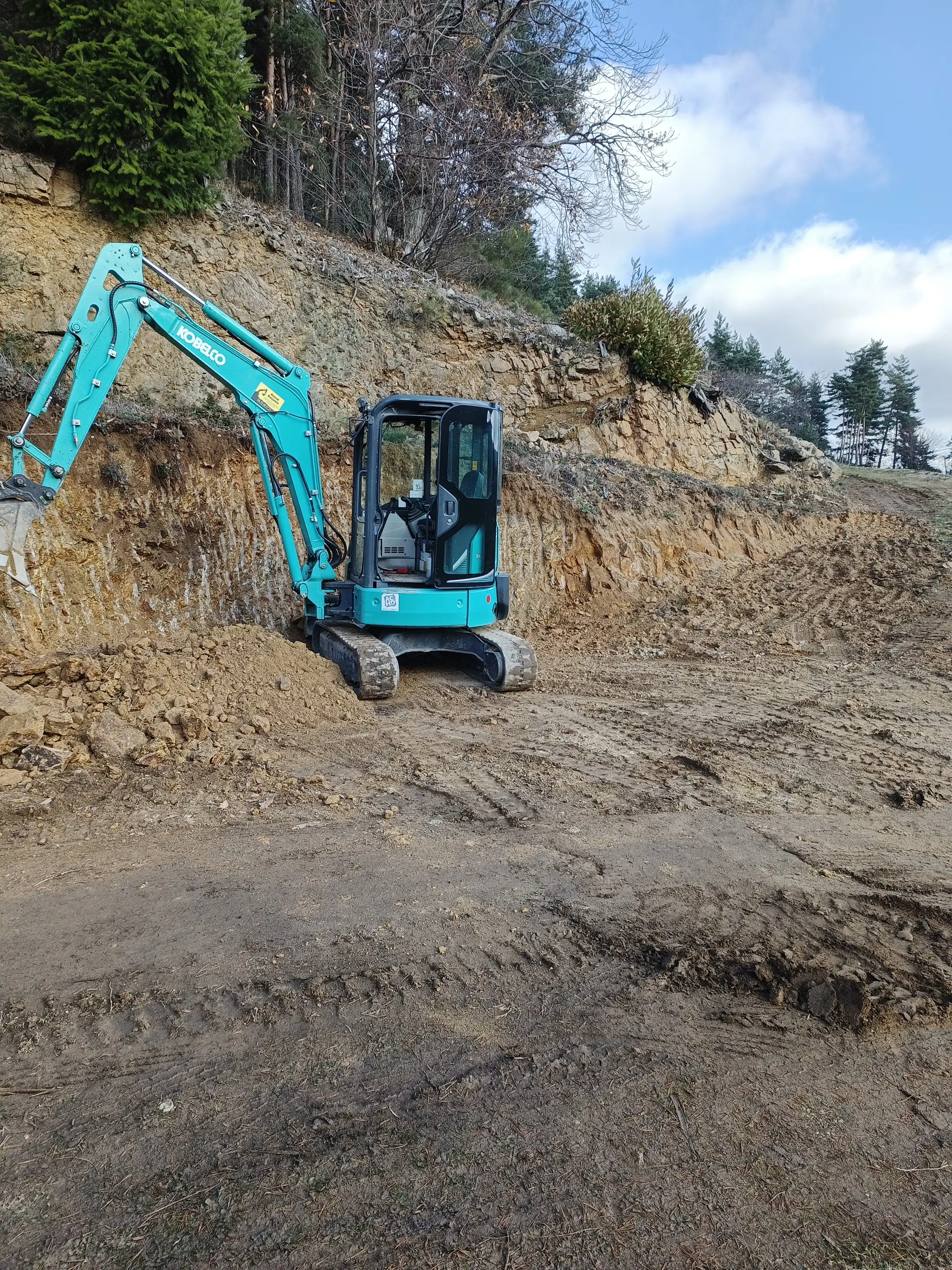 User profile picture